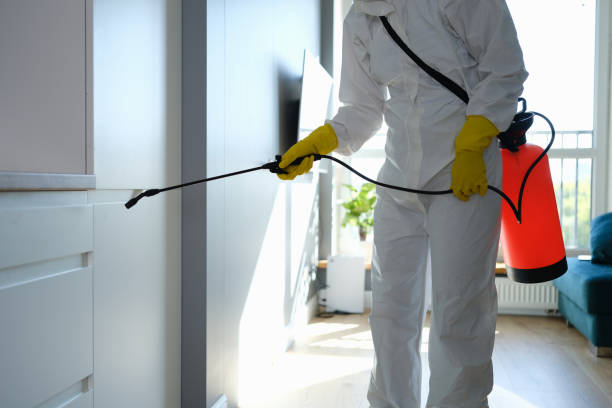 Mold Removal and Inspection in Traer, IA